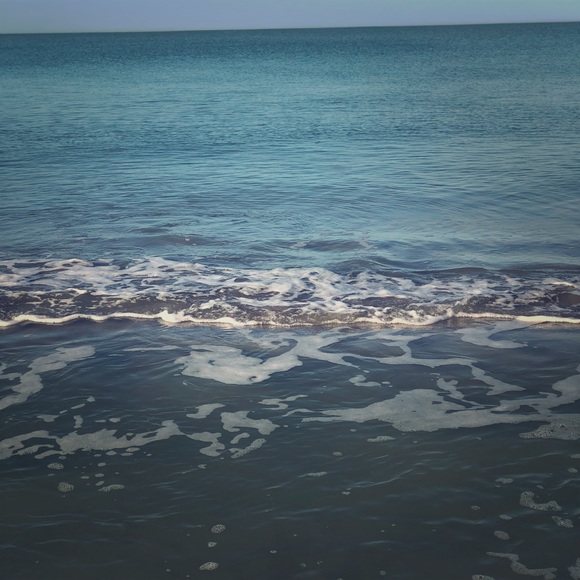 Meet your Posher, KG. - Picture 1 of 1